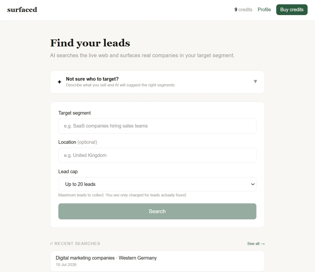 Surfaced screenshot: the form for entering a target segment, location and lead limit